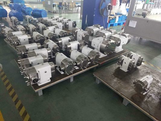 Stainless Steel Lobe Rotary Pump Fit Regulating Syrup Candy Chocolate Pharmacy